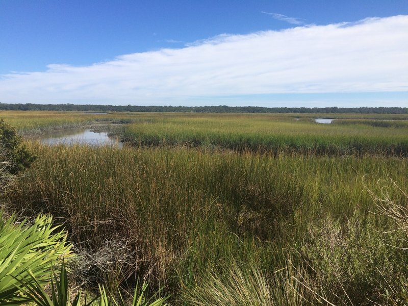 Simpson Creek at the end of Big Pine Trail