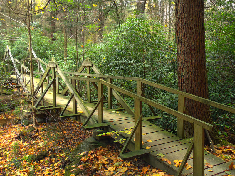 Alan Seeger Natural Area