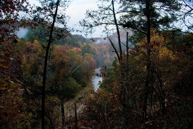 North Sylamore Creek in early November.