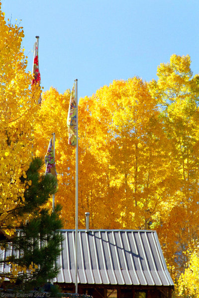 Tahoe Gold -- aspens at Sorensen's Resort