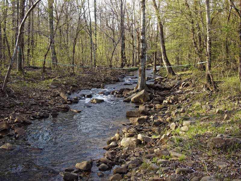 Ouachita Trail crossing Reece Creek, which is divided into 3 branches.  The middle (shown here) and east branches are almost always flowing.  West branch flows only after rains.  Reece Creek can be difficult after major rainfall.