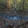 Reece Creek divides into three channels where the Ouachita Trail crosses.  This is the middle channel.