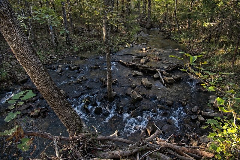 East channel of Reece Creek. Most of the year it can be crossed by stepping stone to stone without getting wet.