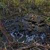 East channel of Reece Creek. Most of the year it can be crossed by stepping stone to stone without getting wet.