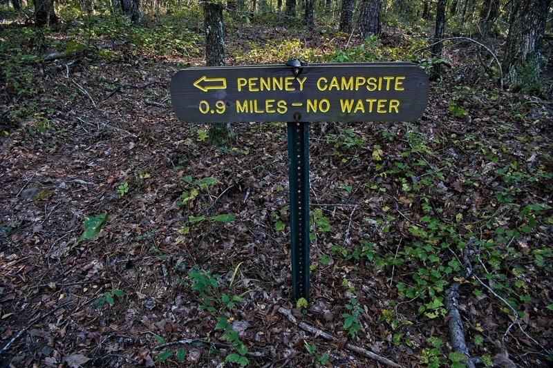 Spur trail up to Penny Campsite.  The nearest running water is Reece Creek.