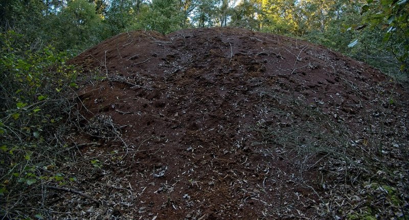 Enormous pile of sawdust left from an historic sawmill that was here many years ago. The pile of sawdust is all that is left.