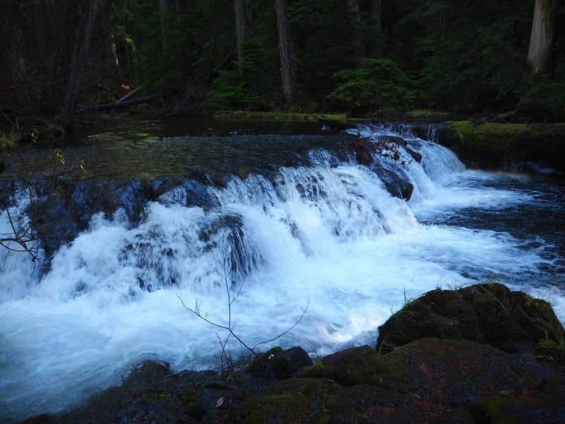 The 10-foot cascade at Union Creek Falls