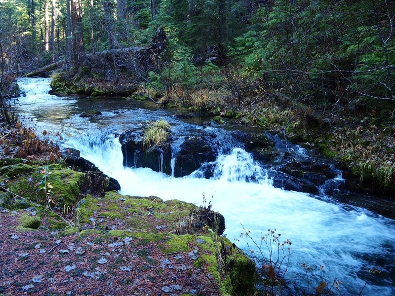 Farther upstream at Union Creek Falls