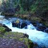 Farther upstream at Union Creek Falls