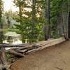 A forested trailside lake.