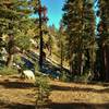 Rocky hillsides and tall firs along Twin Meadows Trail.