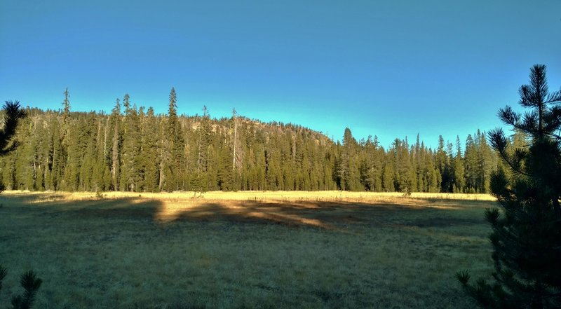 Looking east across the southern meadow of Twin Meadows from Twin Meadows Trail as the trail runs along the meadow's west edge.