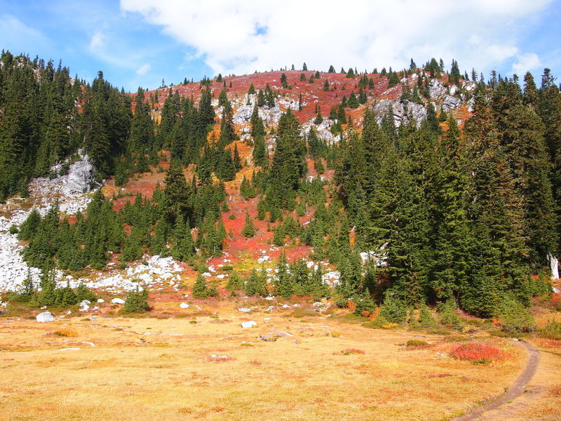 A meadow near Lake Valhalla, covered with huckleberry bushes in full fall color
