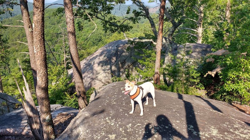 Atop the summit of Big Rock.