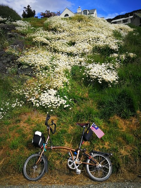 Beautiful flowery slope