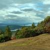 Henry Island of the San Juan Islands is on the left in the middle, Canada's Vancouver Island in the distance, and a madrone tree on the right, looking northwest from the top of Young Hill.