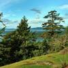 Looking north-northwest, out over the San Juan Islands to Canada from the Young Hill Overlook.