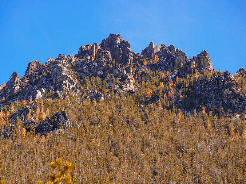 Golden larches on the east side of Colchuck Lake (mid October)