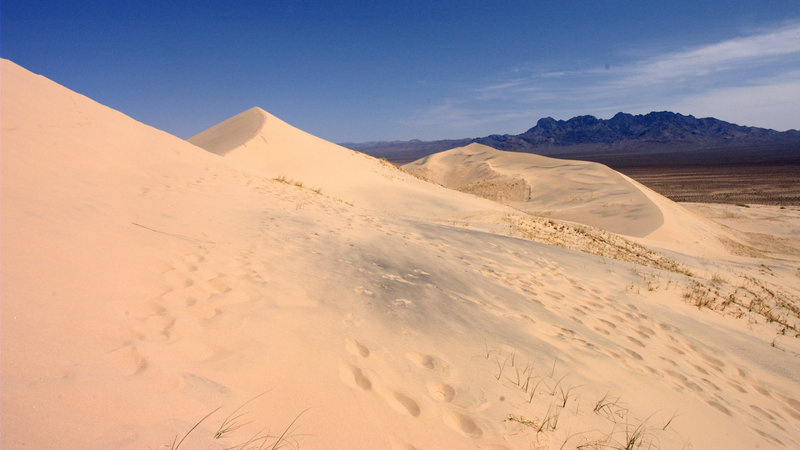 Kelso Dunes