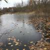 Frozen pond