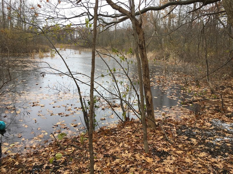 Frozen pond