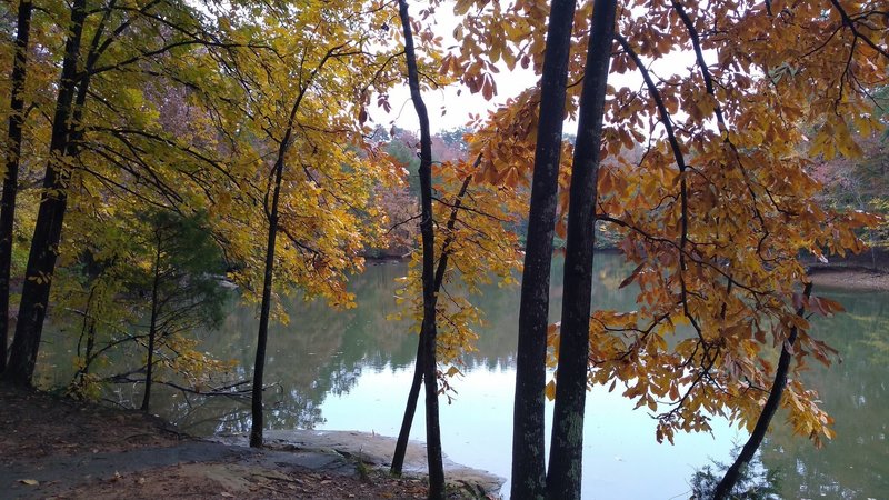 Crisp Fall Day on Alder Trail