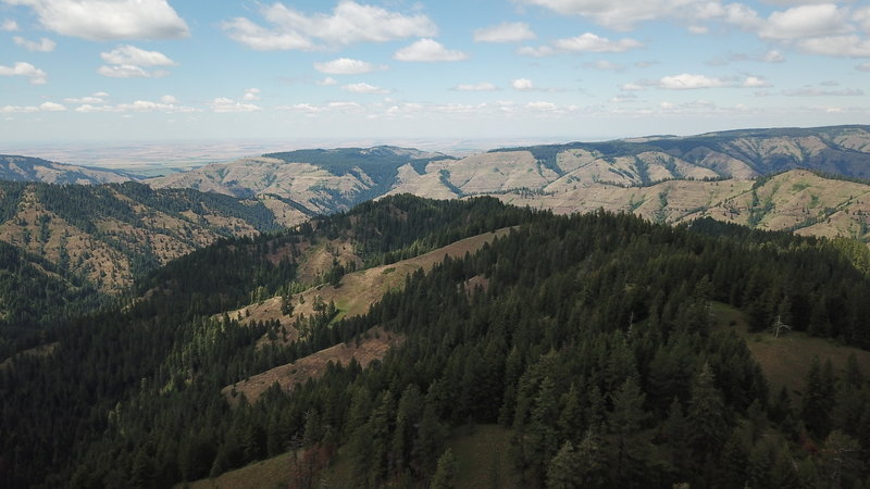 Tiger Ridge looking to the NW. West Tiger Creek to the west. The trail is visible in the lower right of the photo, Tiger Canyon Road also visible