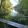 The wilderness in Tyresta National Park, made easier to conquer with some man-made footbridges.