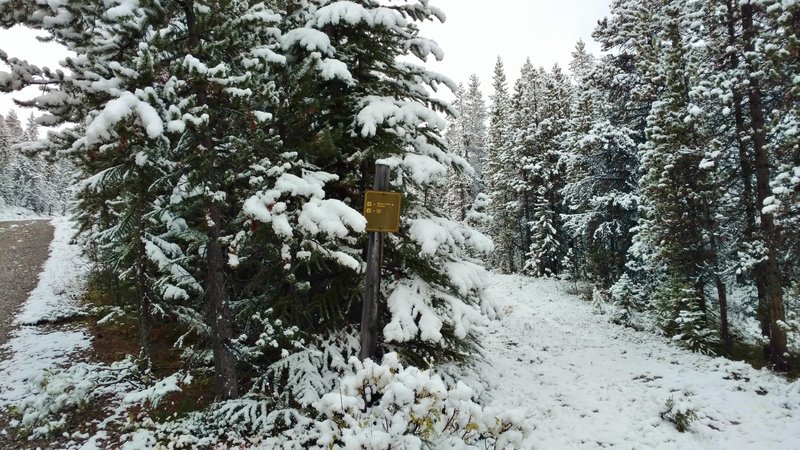 Little used Evelyn Creek/Skyline Trail to the right, popular Bald Hills Trail on the very left on a late summer day; yes it can snow in the summer!