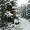 Little used Evelyn Creek/Skyline Trail to the right, popular Bald Hills Trail on the very left on a late summer day; yes it can snow in the summer!