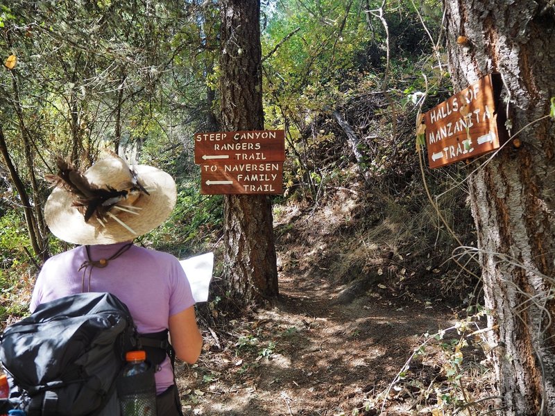 At the junction with the Steep Canyon Ranger and Halls of Manzanita Trails