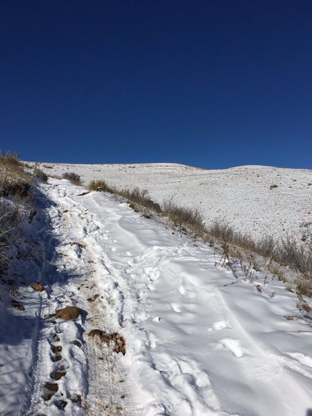 Snow and ice on trail