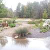 Butterfly garden near the entrance to the paved multi-use trail