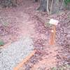 Entrance to Wild Comfrey Hiking Trail at Forest Ridge Park (from the visitor center)