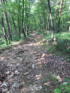 Downhill lots of roots, erosion, and loose rocks