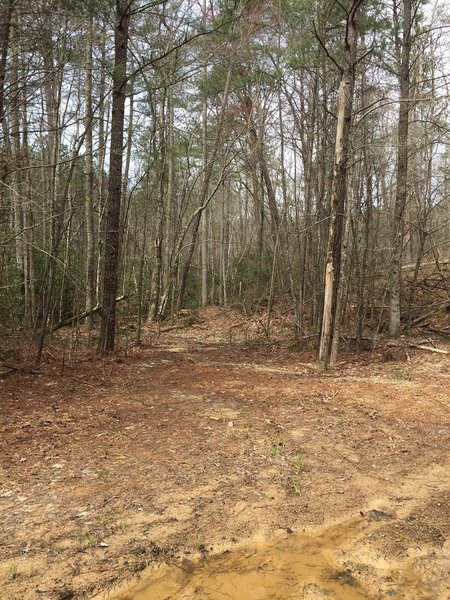 Entrance to Creek Crosser Camp Trail. Trail is sometimes very difficult to follow, especially if high water has pushed debris up on to it.