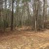 Entrance to Creek Crosser Camp Trail. Trail is sometimes very difficult to follow, especially if high water has pushed debris up on to it.