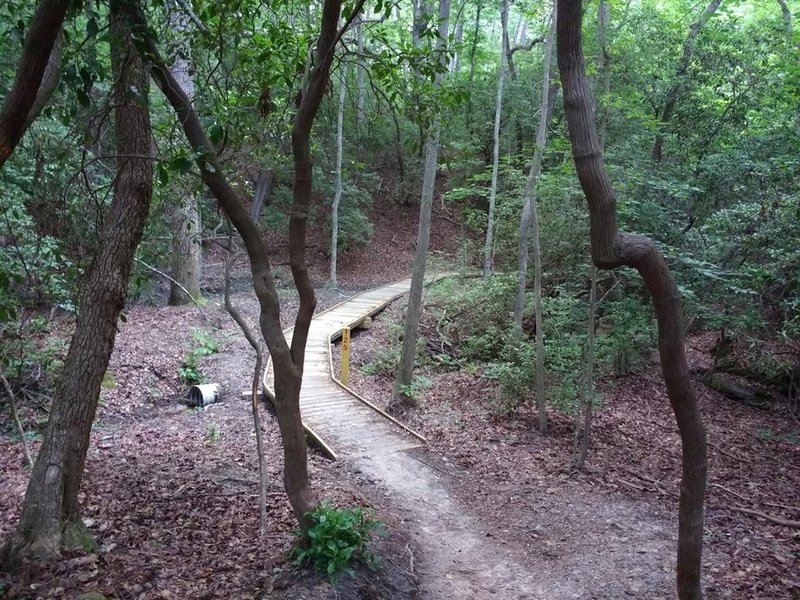 Boardwalk just before the creek crossing at the bottom of the switchbacks.