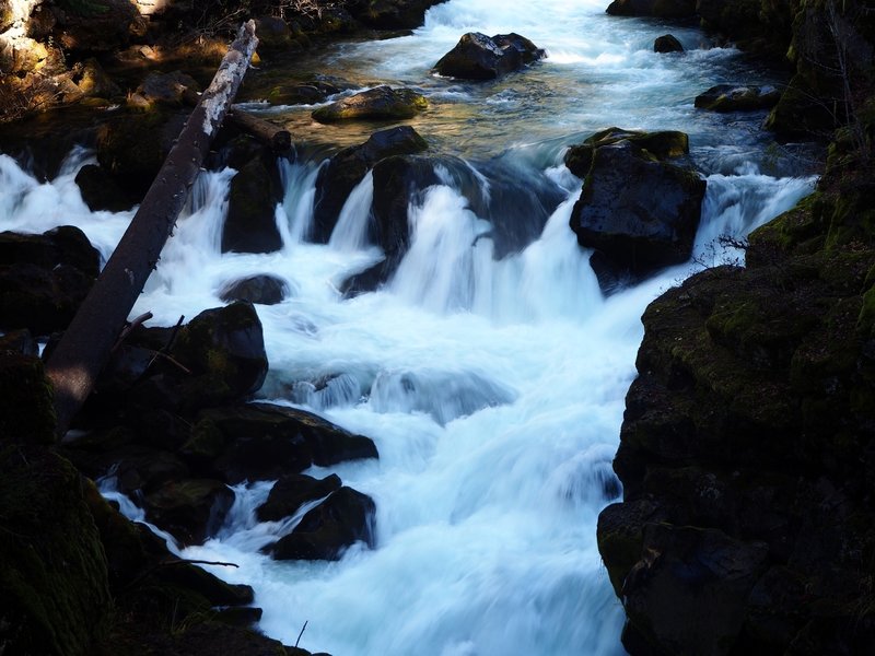 The Rogue River after it emerges from subterranean travel in a lava tube