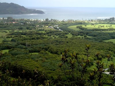 Down to Hanalei Bay