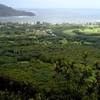 Down to Hanalei Bay