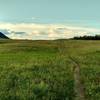 The prairies meet the mountains along Horseshoe Basin Trail