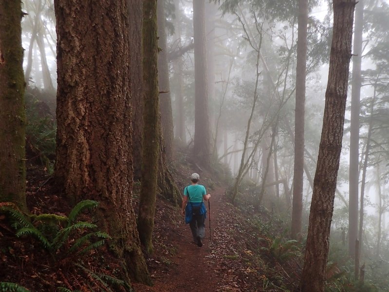 Descending the west side of Humbug