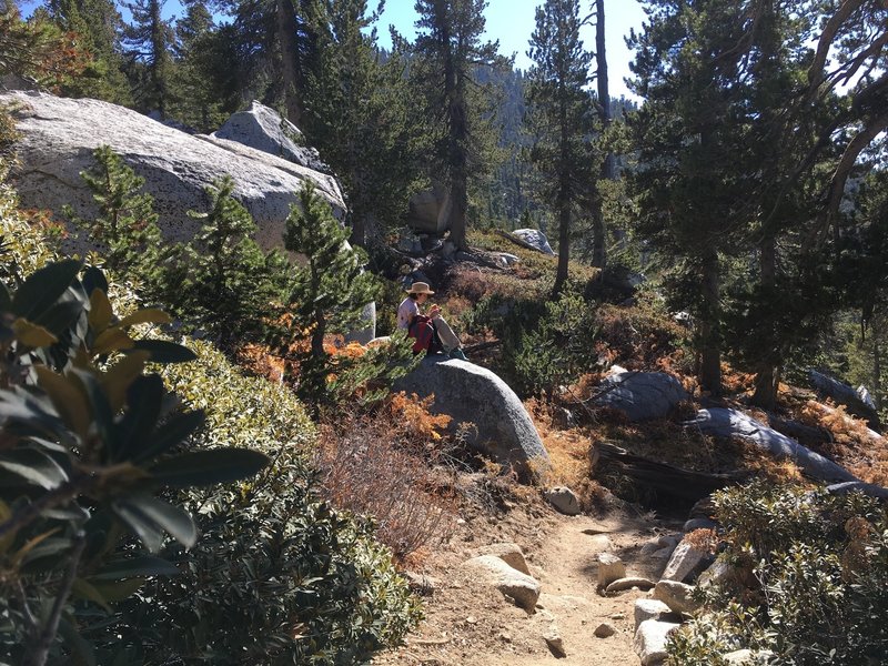 Resting time by the trail