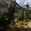 Camping is prohibited from ¼ mile south of the Emerald Lakes to ½ mile north. Here I am about 1 mile north of the lake.