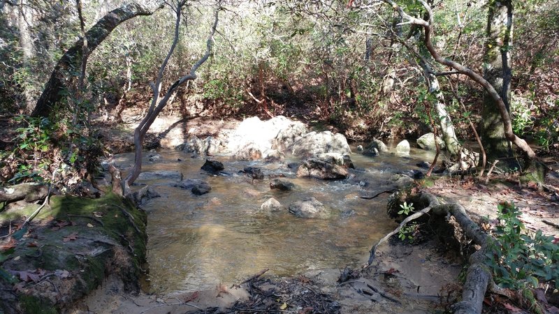 One of many creek stream crossings on the Uwharrie National