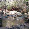 One of many creek/stream crossings on the Uwharrie National Recreation Trail.