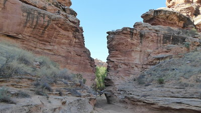The Narrows in Grand Gulch, looking downstream. About 1/3 mi downstream from the junction with Collins Cyn.