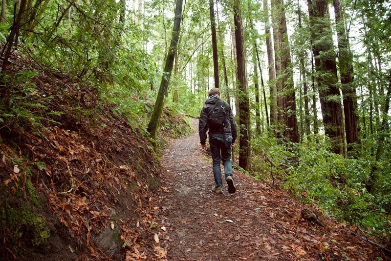 Hiking the Sprig Trail