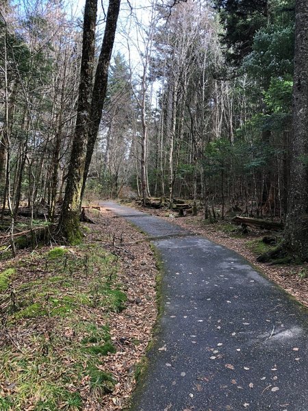 Initial paved portion of trail.